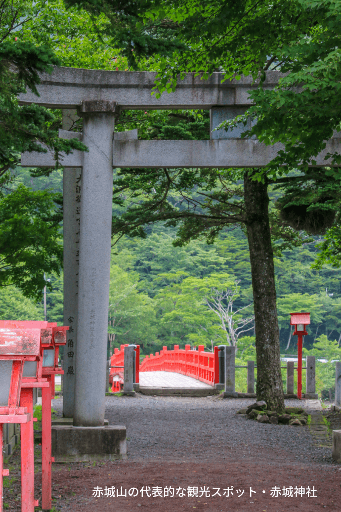 地域の観光情報