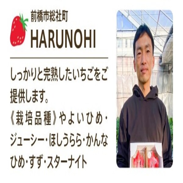 いちご農家　HARUNOHI