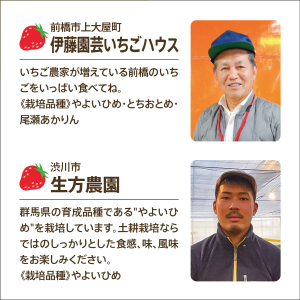 いちご農家さん ご紹介!!