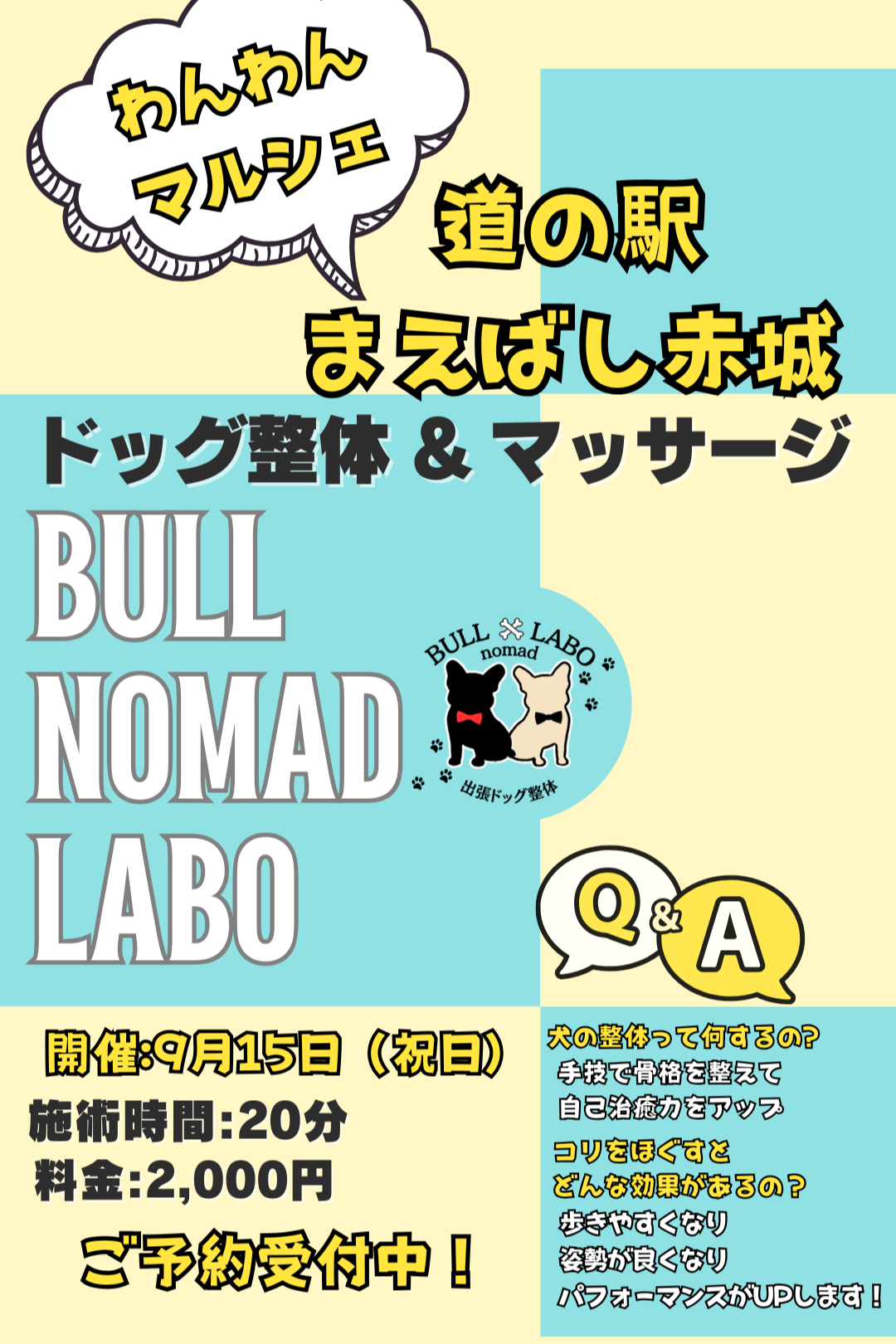 出張ドッグ整体 BULL nomad LABO