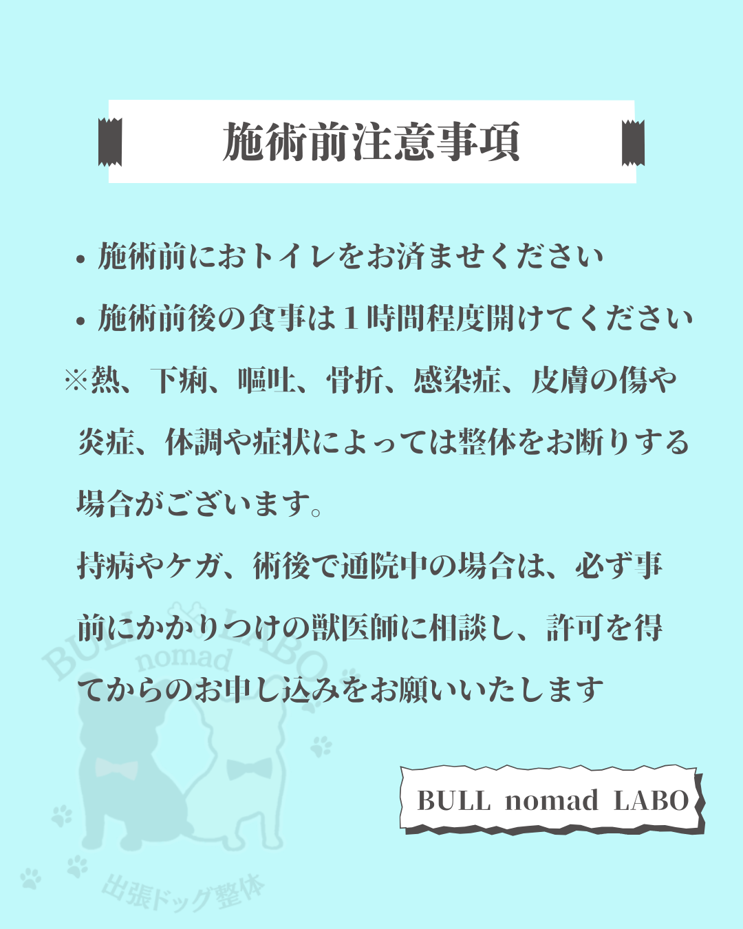 出張ドッグ整体 BULL nomad LABO