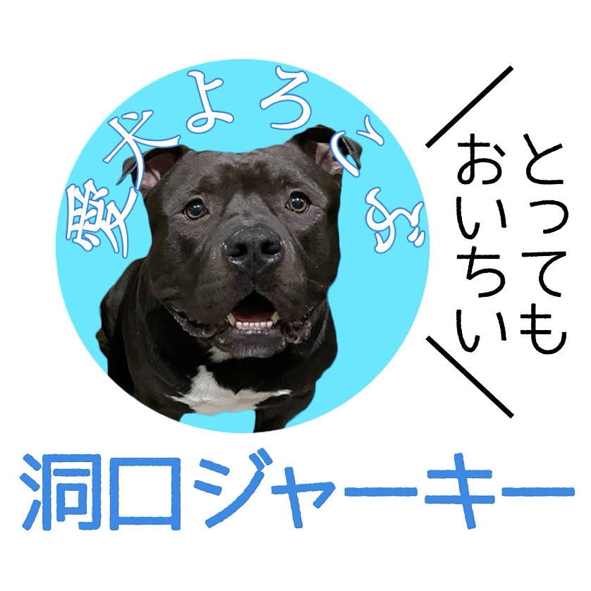洞口ジャーキー