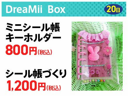 DreaMii Box