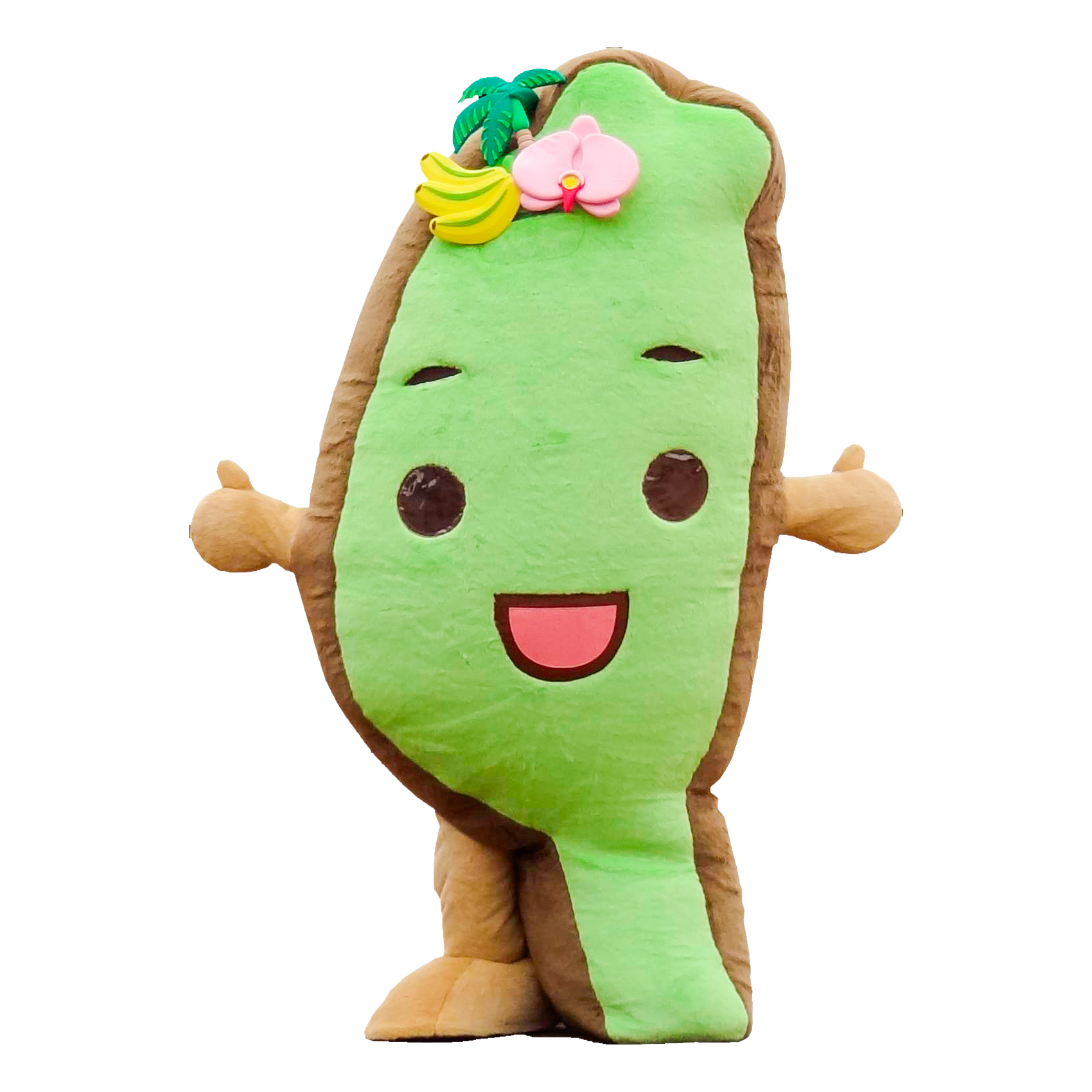 タイワンダー☆登場！